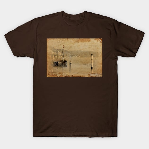 Lucerne and the lake T-Shirt by PrivateVices